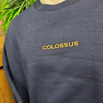A blue sweatshirt, showing a close up of the embroidered text