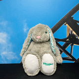 TP Rabbit