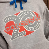 A close up of the Colossus logo, it is red and the number 20 is sat behind the text in a silver print. The background of the hoody is a light grey colour.