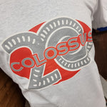 A photograph of a white t-shirt, in the middle is the Colossus rollercoaster logo with a silver 20 behind it.